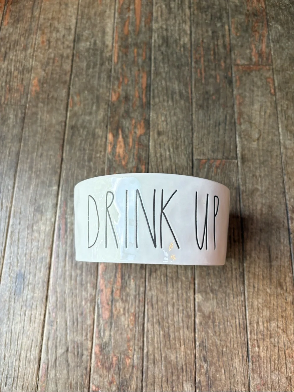 Rae Dunn “Drink Up” & “Chow Down” Ceramic Pet Bowls
